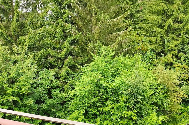 Appartement Romantik Ferienwohnung Bollenhut Superior