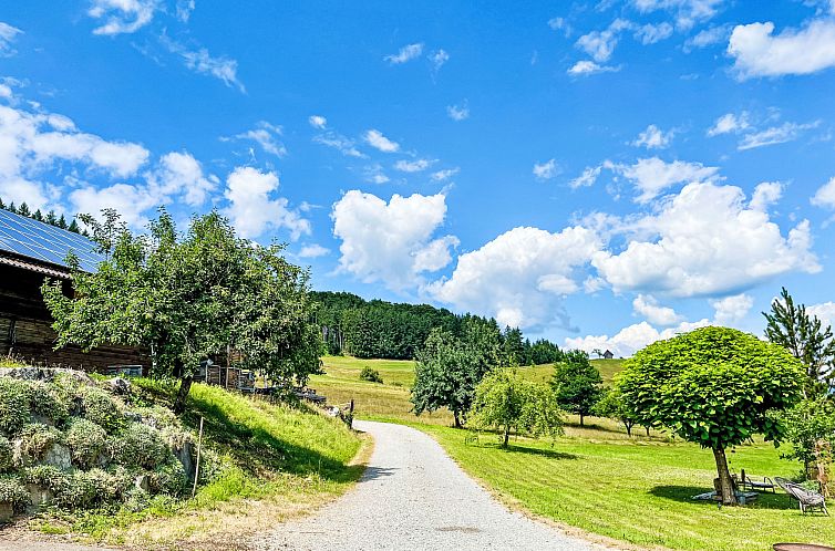 Appartement Kinast (HFT201)