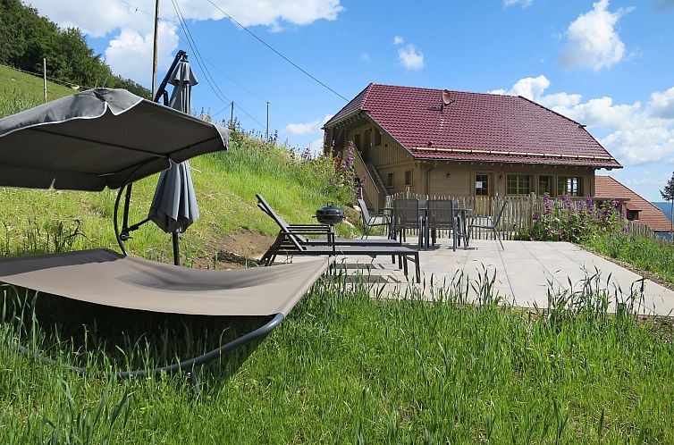 Guest house 0313904 - Apartment Black Forest - Appartement Schmalzenhof