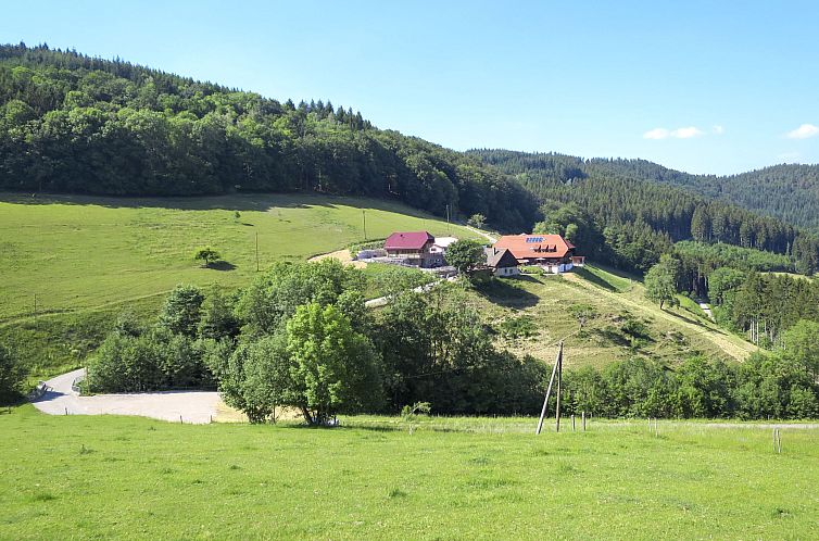 Appartement Schmalzenhof