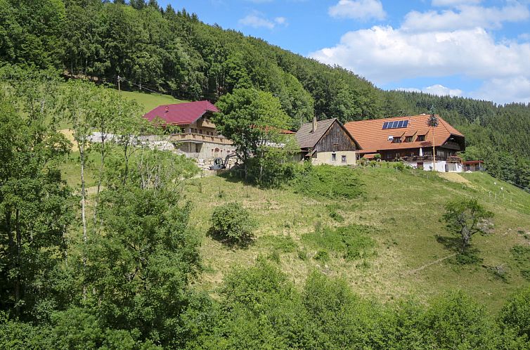 Appartement Schmalzenhof