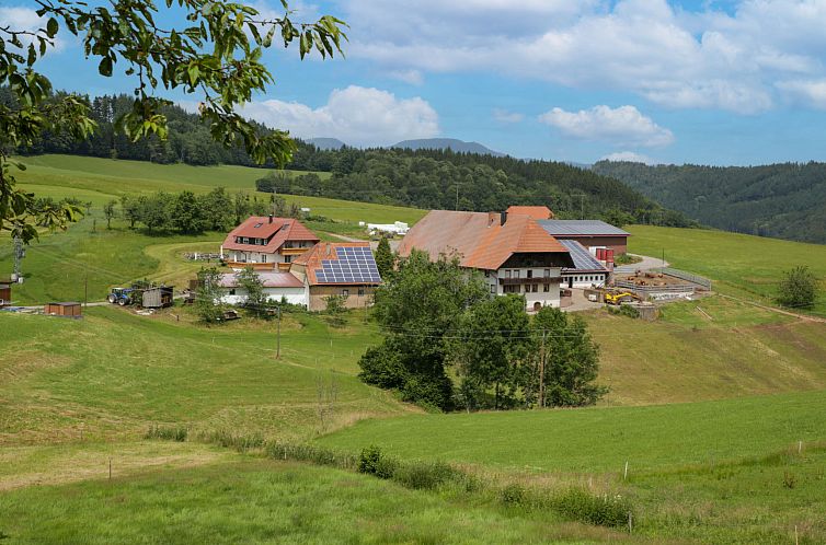 Appartement Mittelberghof