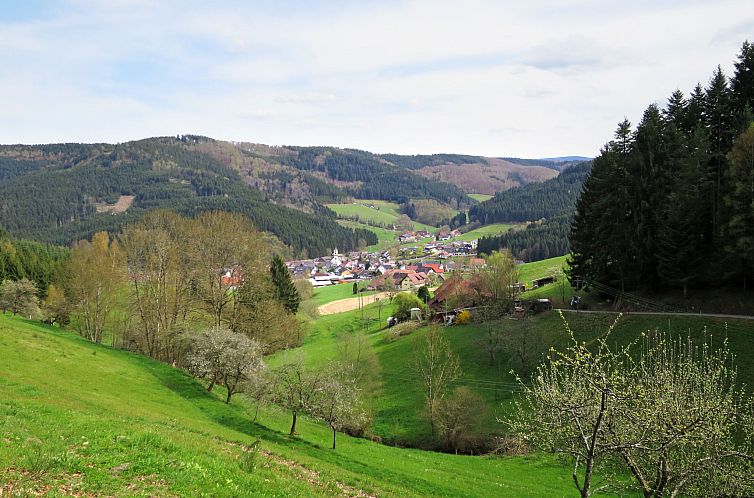 Appartement Mittelberghof