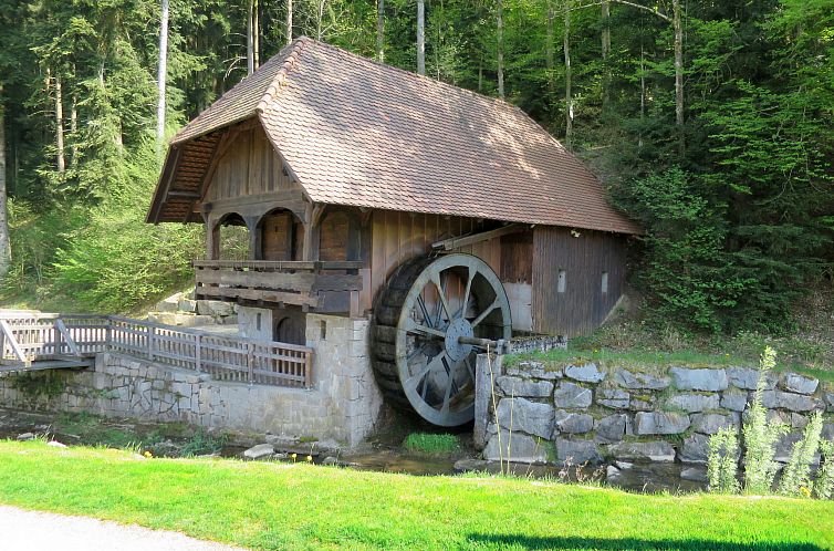 Appartement Mittelberghof