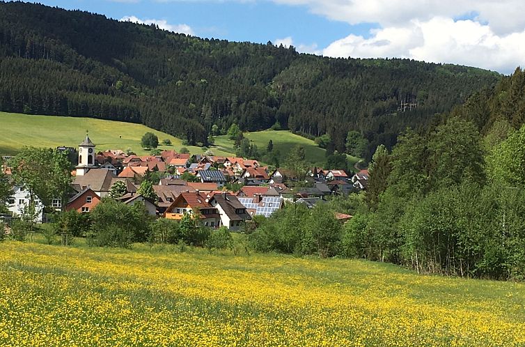 Appartement Mittelberghof