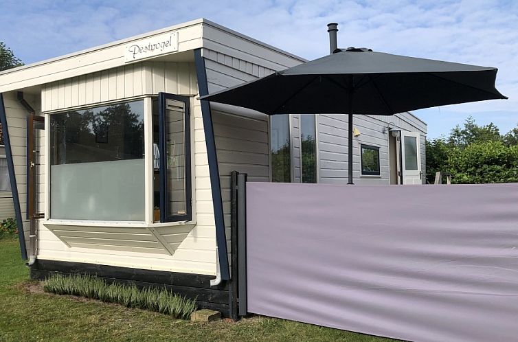 The Pestvogel chalet in Formerum, Terschelling with modern exterior and terrace.