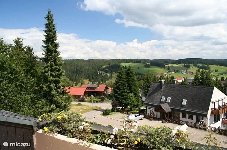 Guest house 0315401 - Apartment Black Forest - Appartement Schonwald