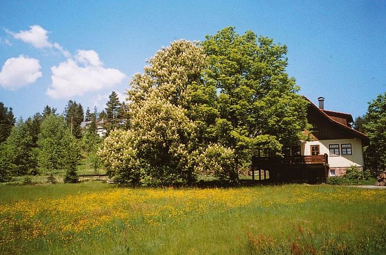 Appartement Landhaus Graf