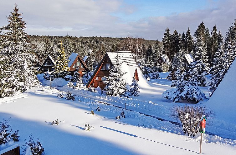 Vakantiehuis Tennenbronn