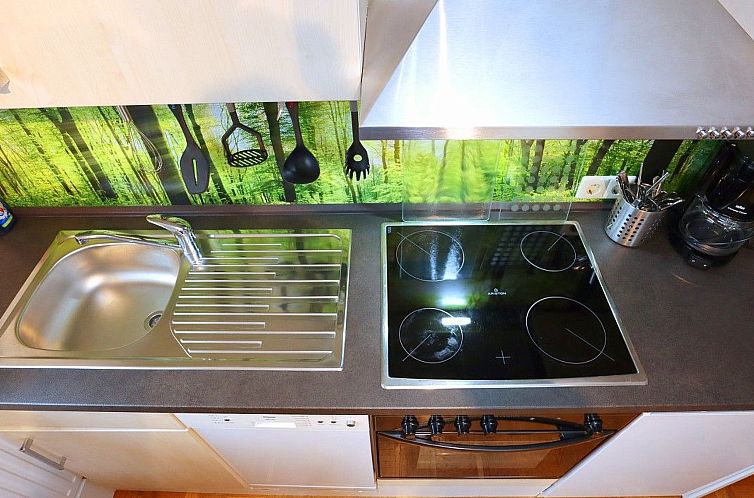 Appartement Donau-Quelle in Rietheim