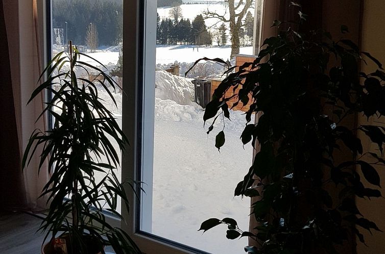 Vakantiehuis Wunderschönes Ferienhaus in Frauenwald mit Gar