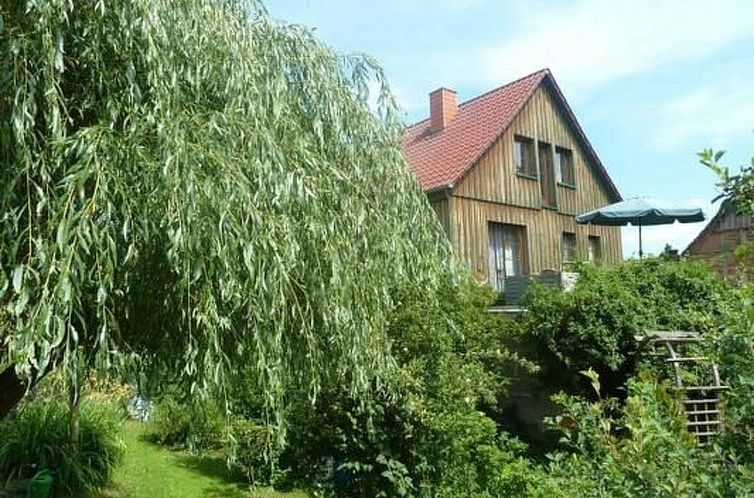 Guest house 03210702 - Apartment Thuringia - Appartement Lotti