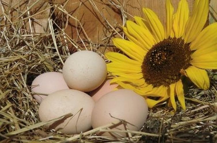 Ferienhof am Biberbach (max 6 pers)