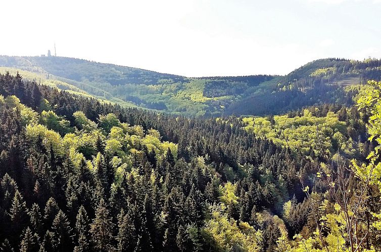 Appartement Findling