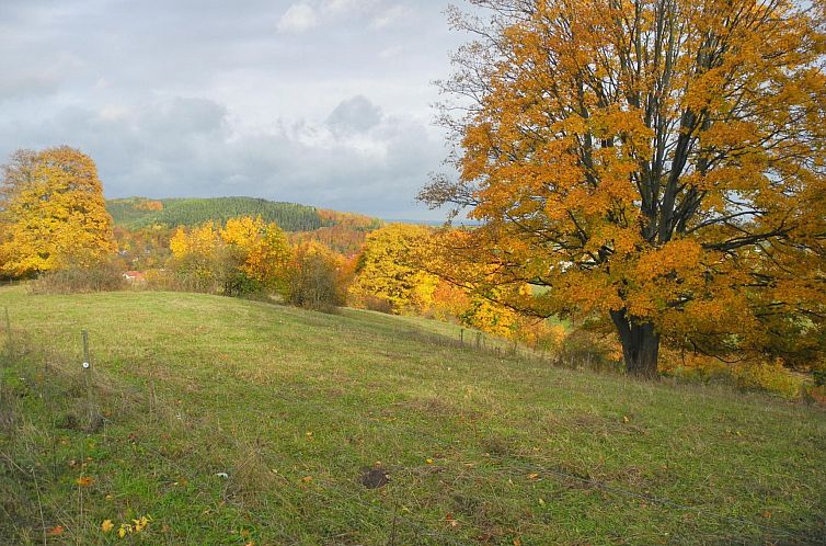 Appartement Kleine, gemütliche Ferienwohnung im Erholungsor