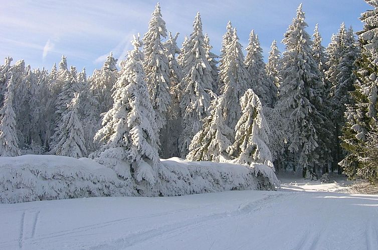 Appartement Kleine, gemütliche Ferienwohnung im Erholungsor