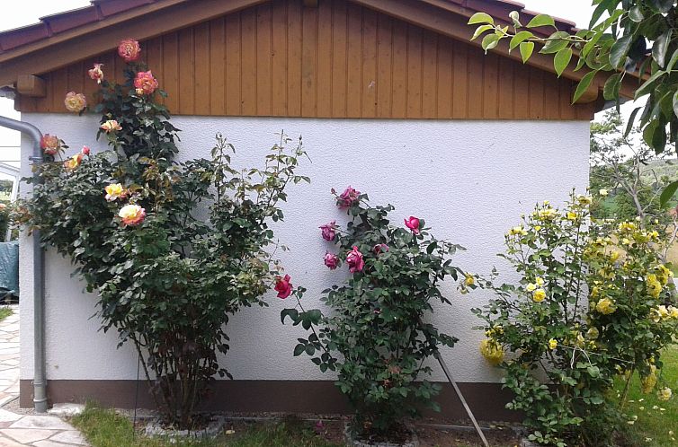 Appartement Gemütliche Ferienwohnung mit Garten