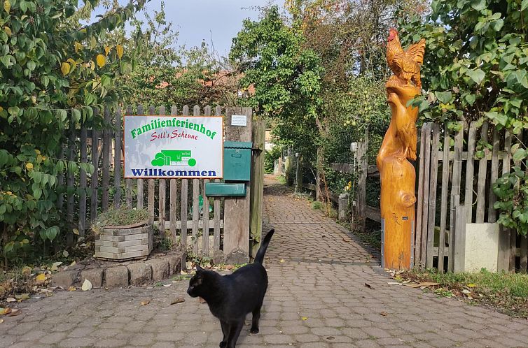 Appartement Hof- Ferienwohnung