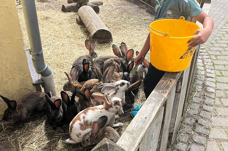 Huisje in Rudolstadt