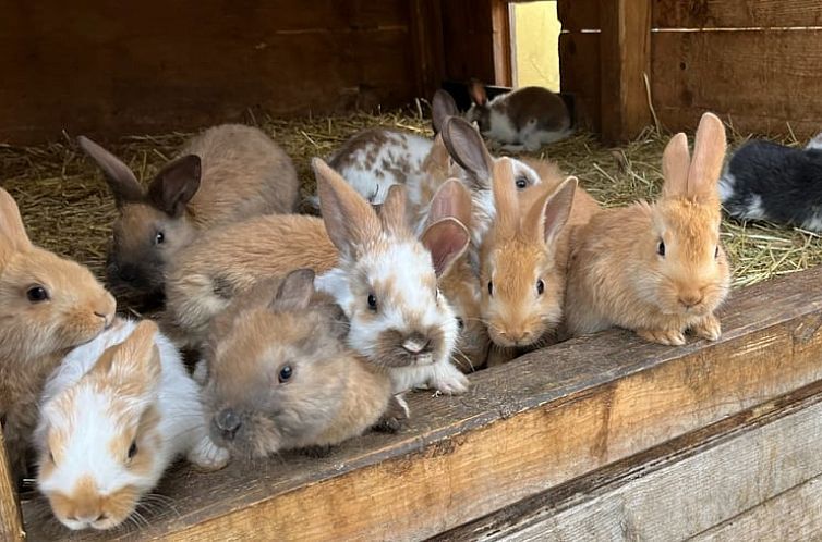 Vakantiehuis in Rudolstadt