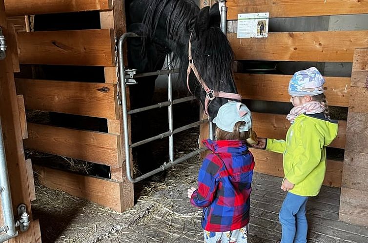 Huisje in Rudolstadt
