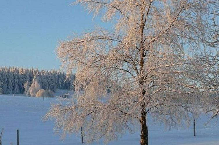 Appartement Wiesengrund