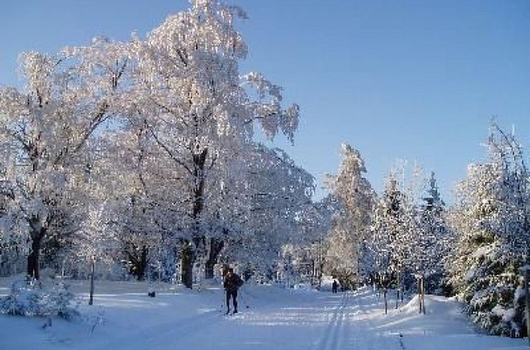 Appartement mit Terrasse