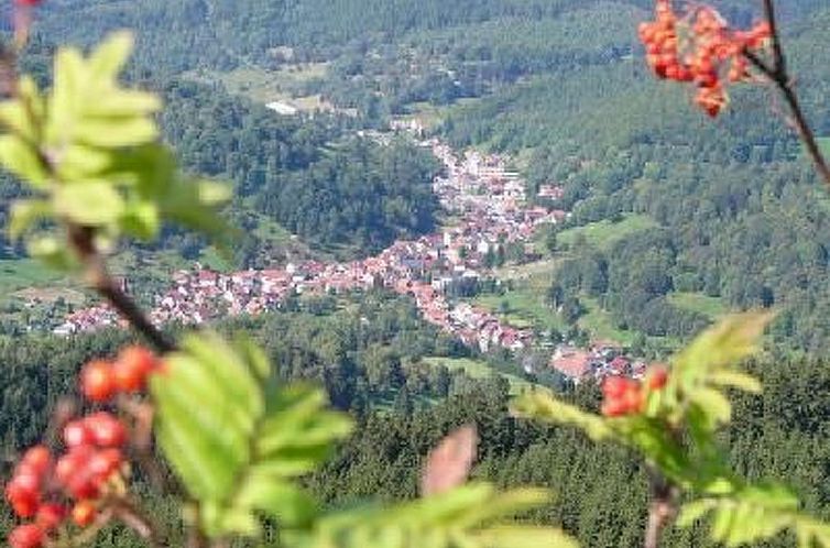 Appartement mit Terrasse
