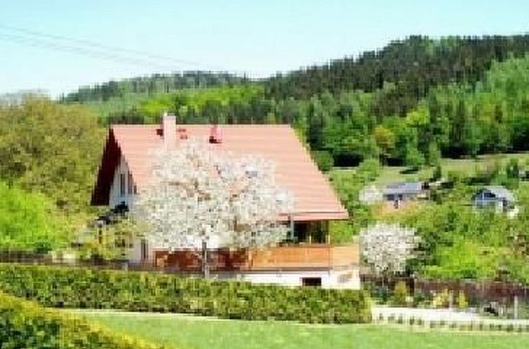 Appartement mit Terrasse