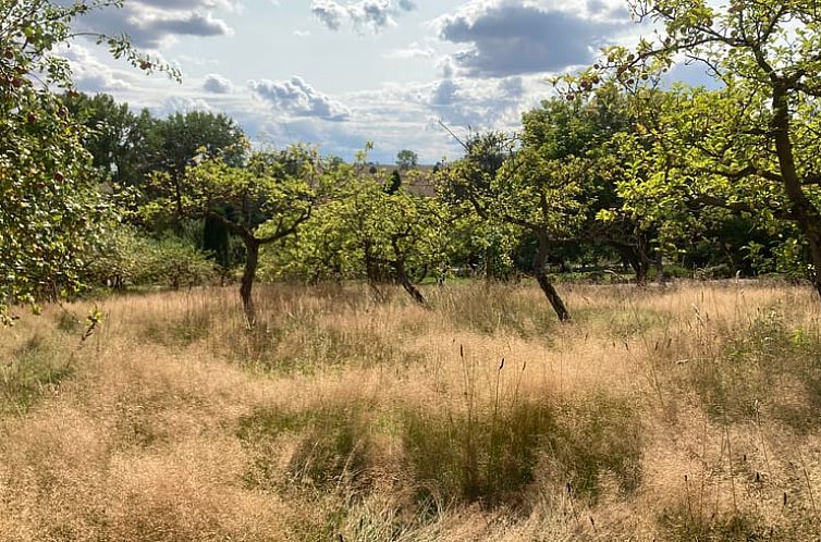 Vakantiehuisje in Leinefelde-Worbis