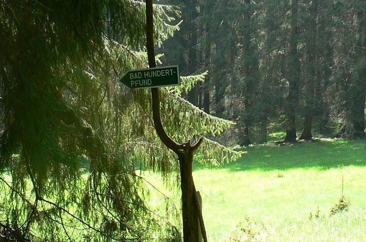 Vakantiehuis für 9 Personen im Thüringer Wald