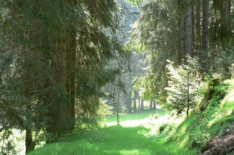 Vakantiehuis für 9 Personen im Thüringer Wald