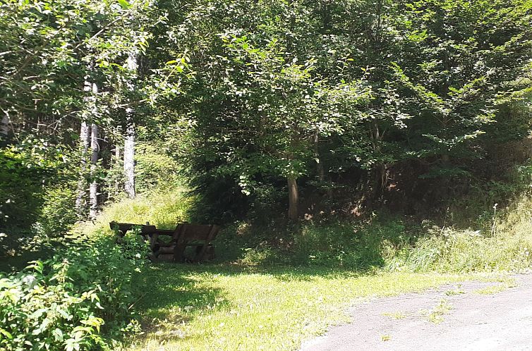 Vakantiehuis Feriendorf Bad Hundertpfund