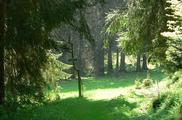 Vakantiehuis für 6 Personen im Thüringer Wald