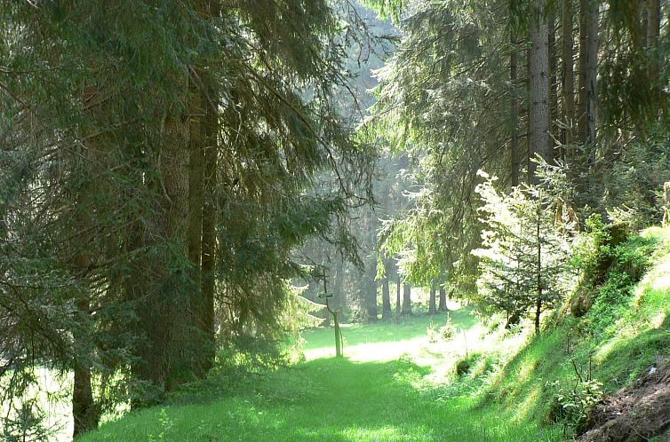 Vakantiehuis für 6 Personen im Thüringer Wald