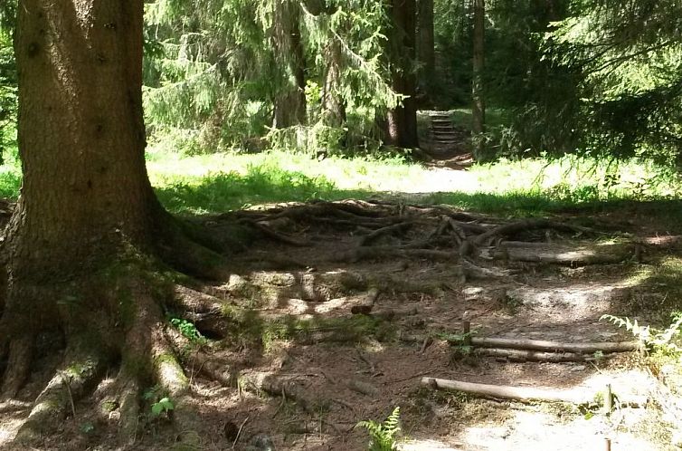 Vakantiehuis für 6 Personen im Thüringer Wald