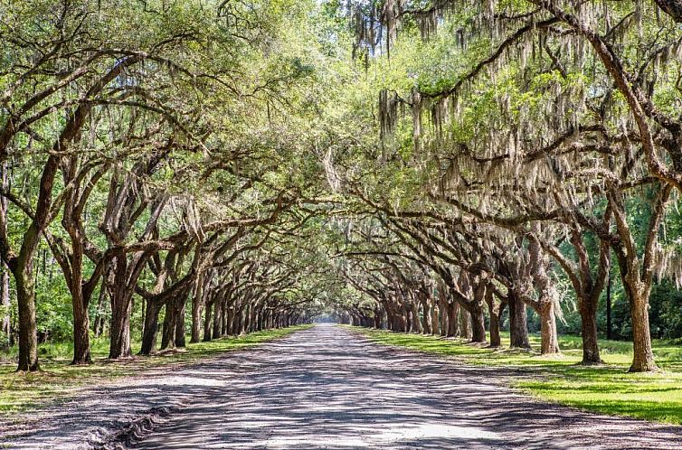 Holiday Inn Savannah Historic District, an IHG Hotel