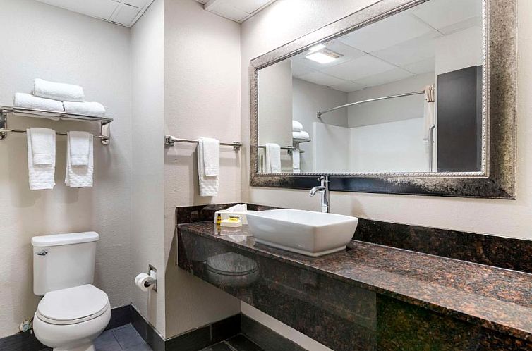 Best Western Plus Savannah Airport Inn and Suites