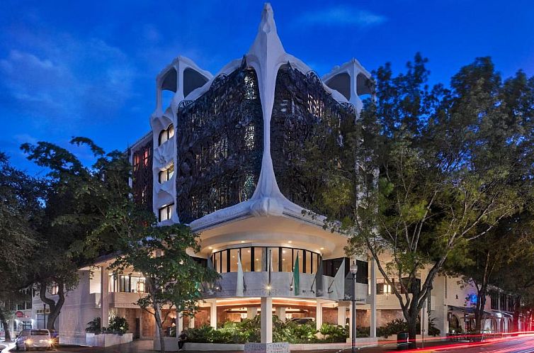 The Mayfair at Coconut Grove