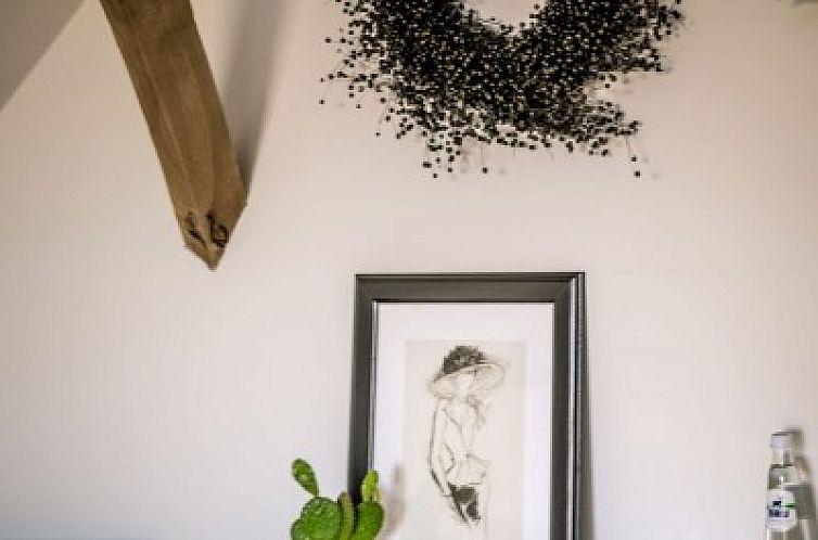 De Woestijn - Vakantiewoning De Schuur