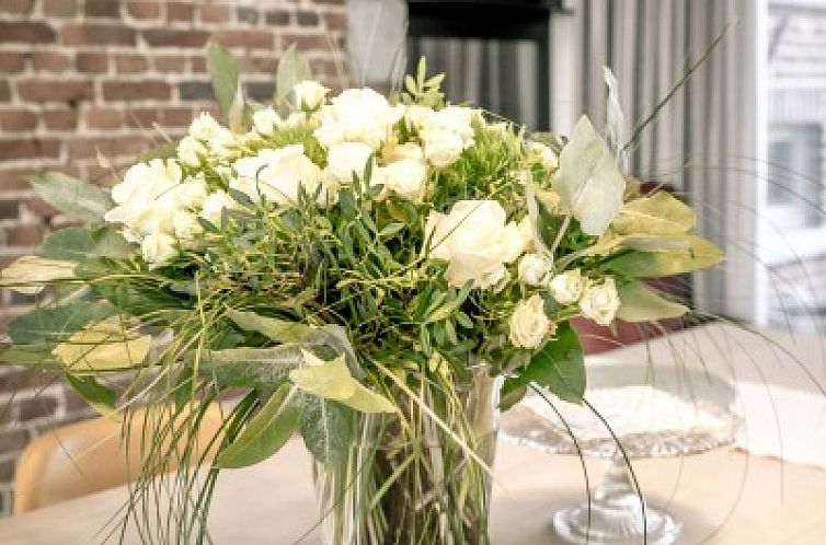 De Woestijn - Vakantiewoning De Schuur