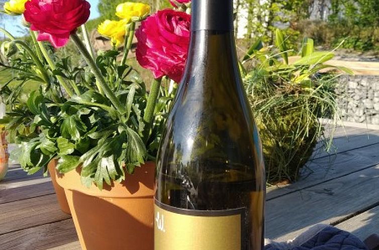 De Woestijn - Vakantiewoning De Schuur