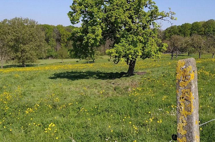 De Woestijn - Vakantiewoning De Schuur
