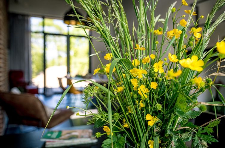 De Woestijn - Vakantiewoning De Schuur