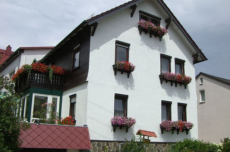 Guest house 0327842 - Apartment Thuringia - Appartement Siegmund