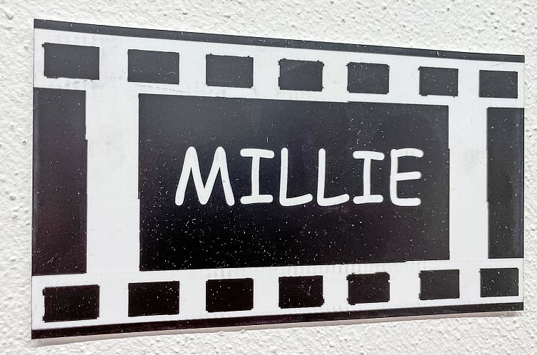 Appartement Filmtheater Oberhof