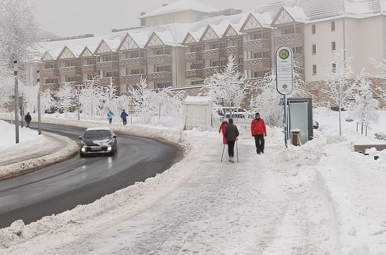 Appartement Wohnung in Oberhof