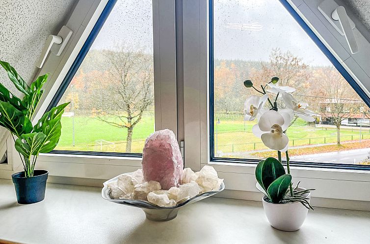 Appartement Naturnah mit Pool und Sauna