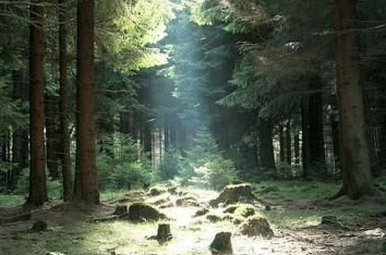 Appartement Gemütliche Ferienwohnung im Thüringer Wald