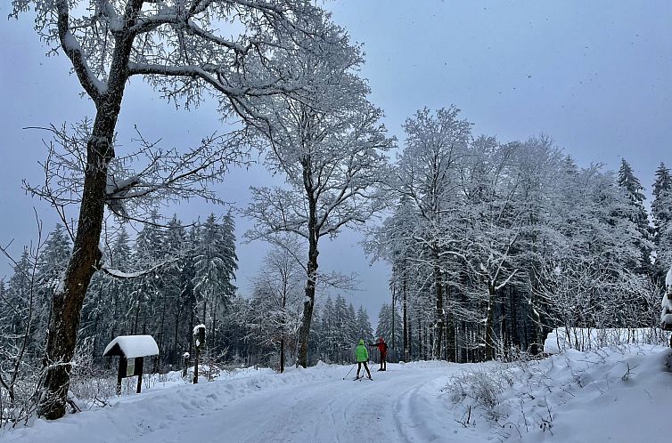 Vakantiehuis Fam. Sauer